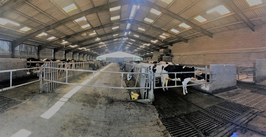 Cockle-Park-Farm-Dairy-Shed Cockle-Park-Farm-Dairy-Shed